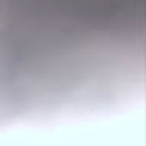 Meet your Posher, Brady